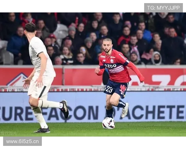 [法甲]第32轮：里尔VS里昂.